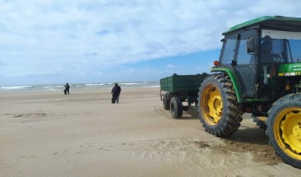 LA MUNICIPALIDAD E INSTITUCIONES REALIZARON LIMPIEZA EN LA ZONA DE LA RESERVA FARO QUERAND